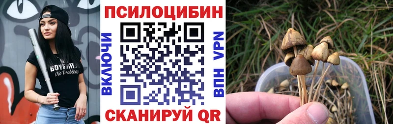 Псилоцибиновые грибы прущие грибы  где купить наркоту  Серафимович 